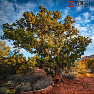 啪啪啪在线观看视频
